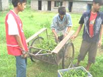RCDP – Nepal 's Environmental Program 3