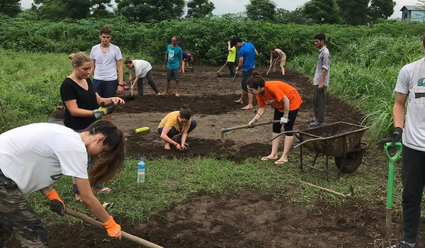 volunteer working on field